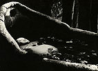 Der tote Berengar im Wasserkübel
